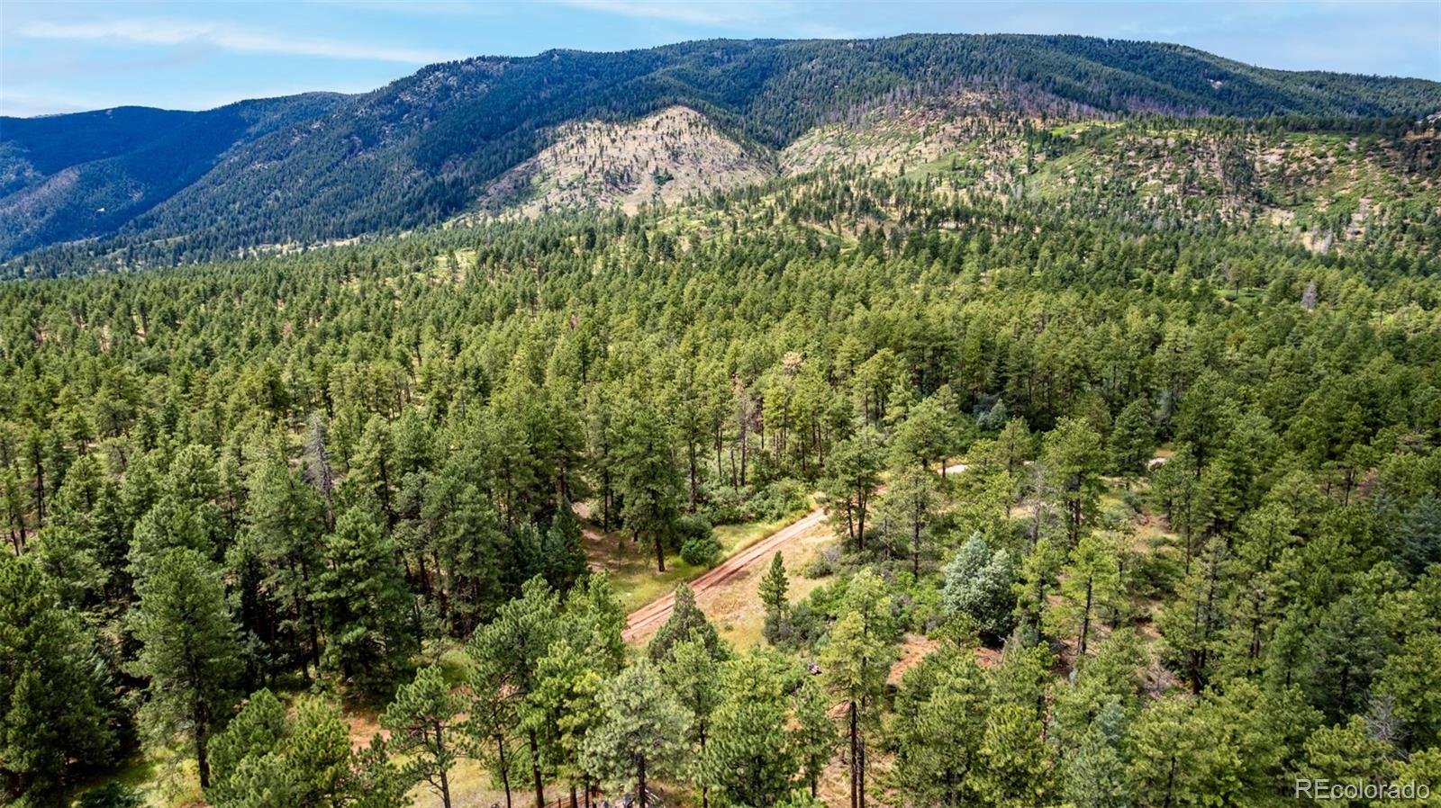 8160 Bannock Drive Larkspur CO 80118