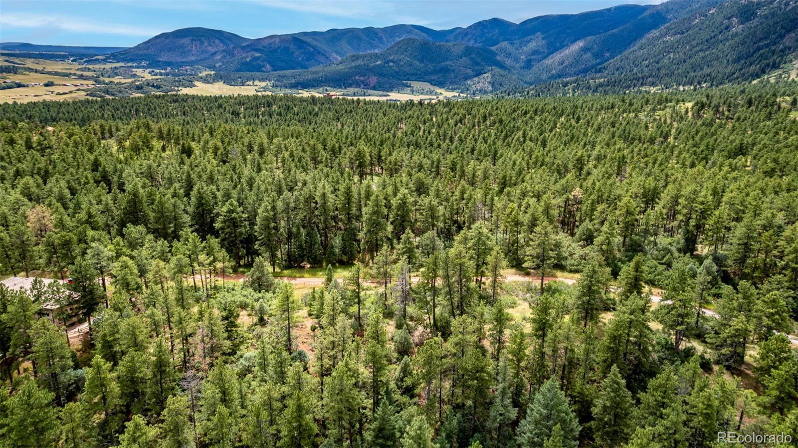 8160 Bannock Drive Larkspur CO 80118