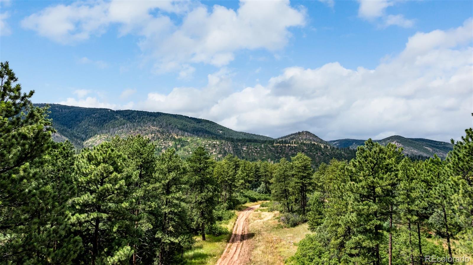 8160 Bannock Drive Larkspur CO 80118