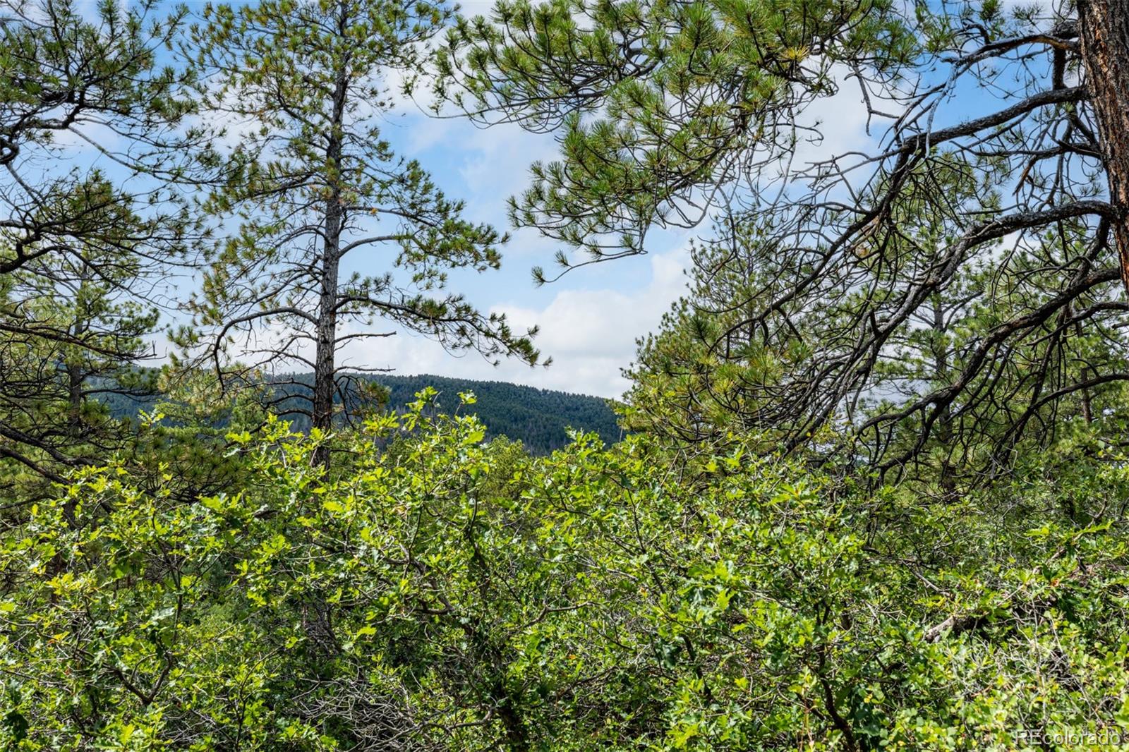 8160 Bannock Drive Larkspur CO 80118