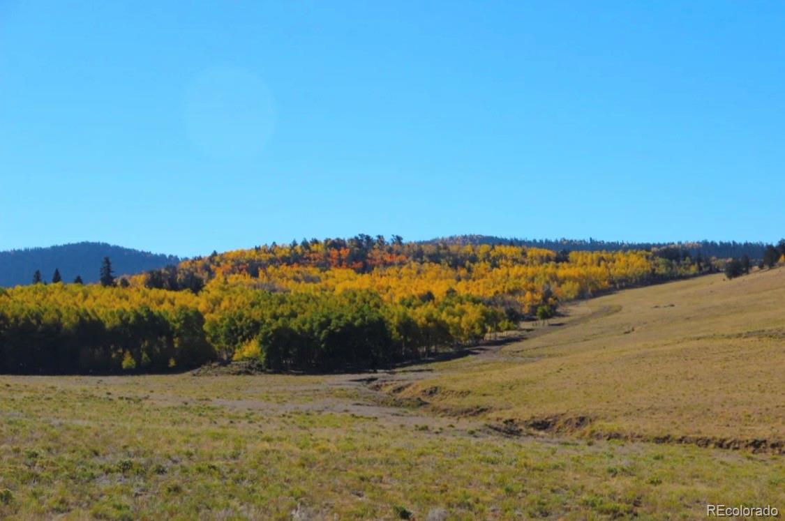 2000 Hard Hickory Trail Guffey CO 80820