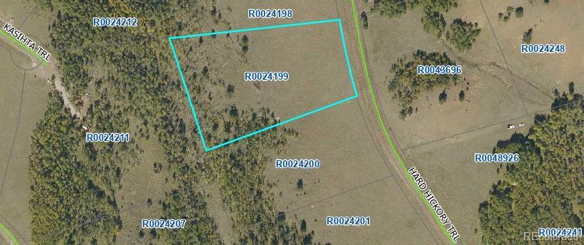 2000 Hard Hickory Trail Guffey CO 80820
