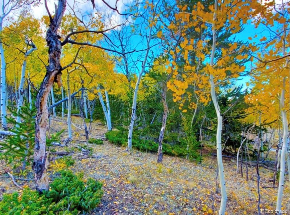 2000 Hard Hickory Trail Guffey CO 80820