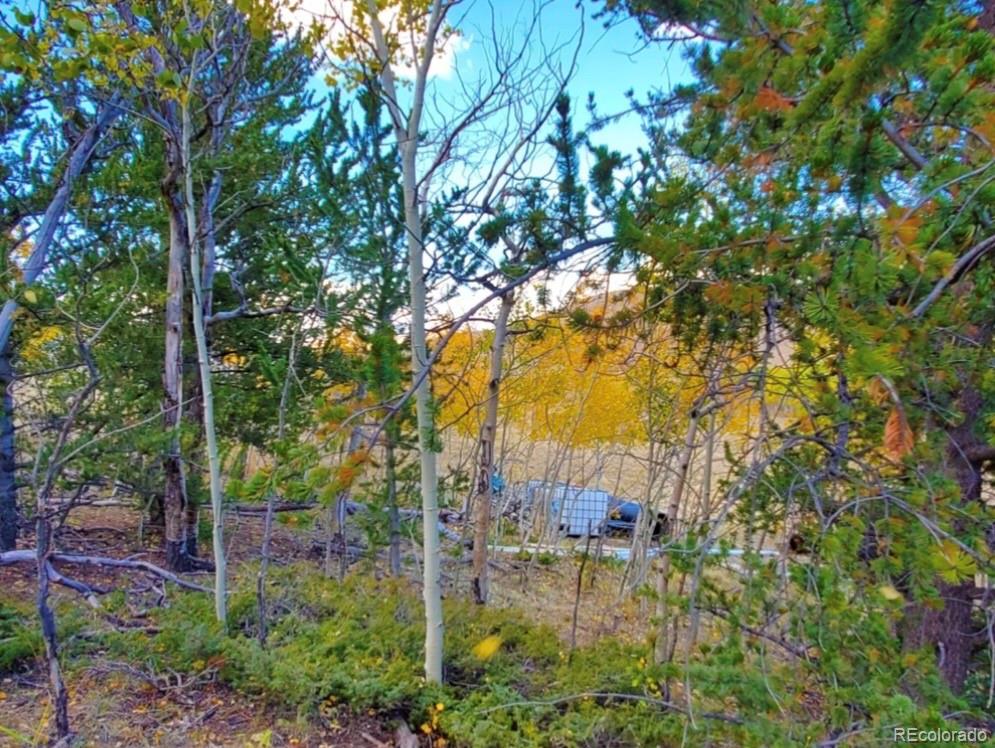 2000 Hard Hickory Trail Guffey CO 80820