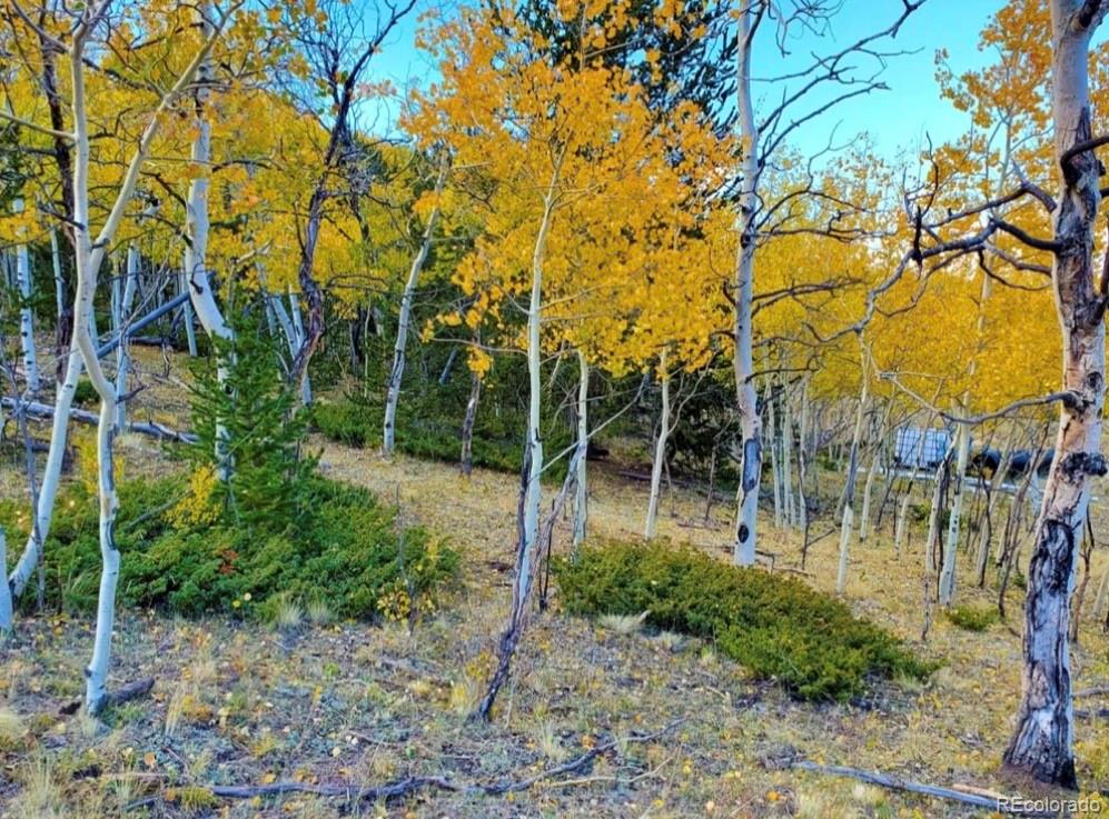 2000 Hard Hickory Trail Guffey CO 80820