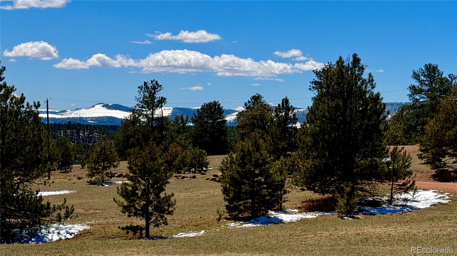 418 Scott Drive Florissant CO 80816