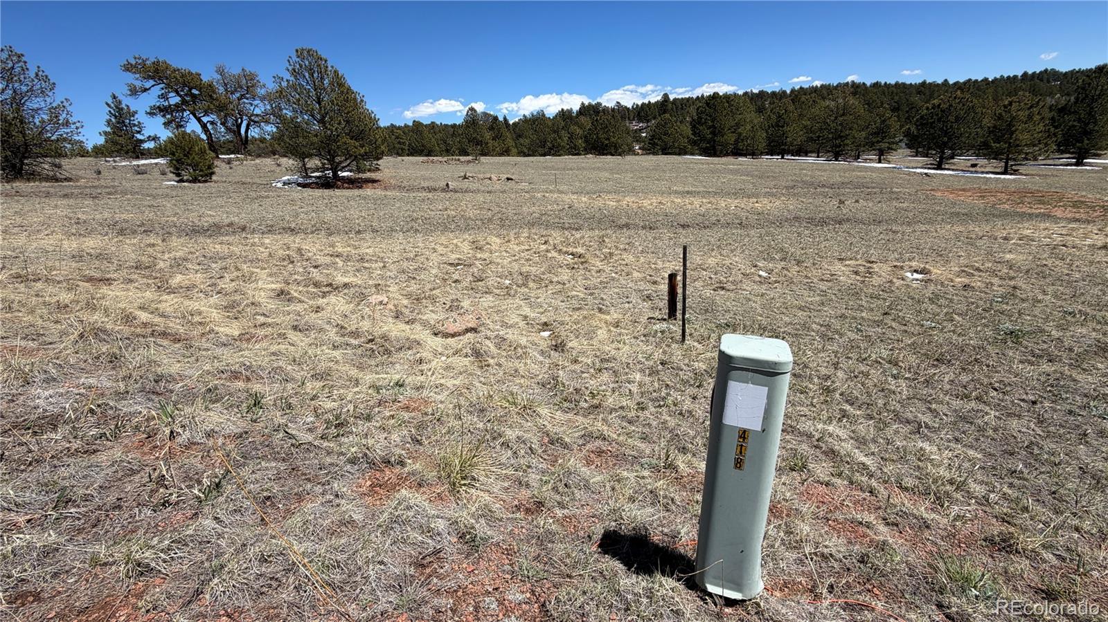 418 Scott Drive Florissant CO 80816