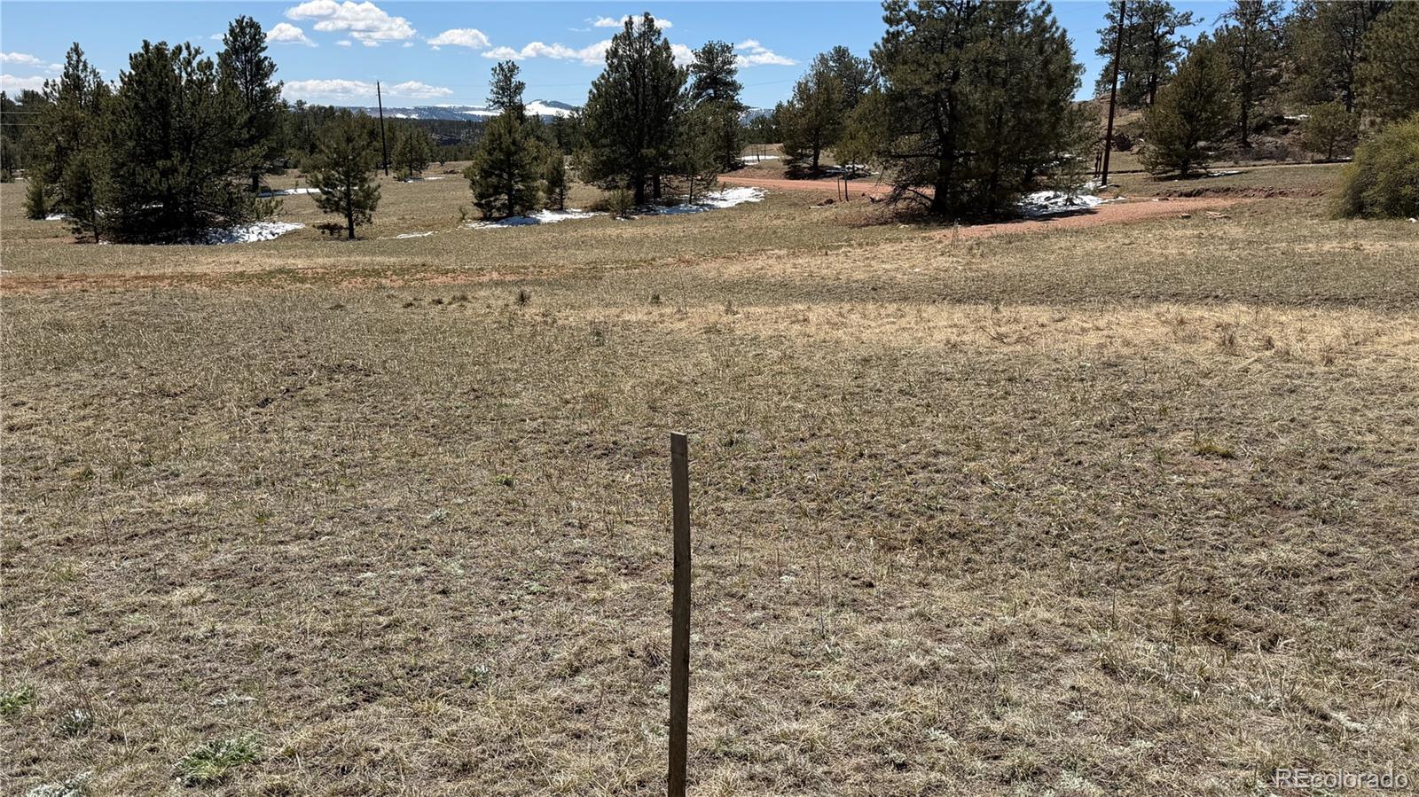 418 Scott Drive Florissant CO 80816