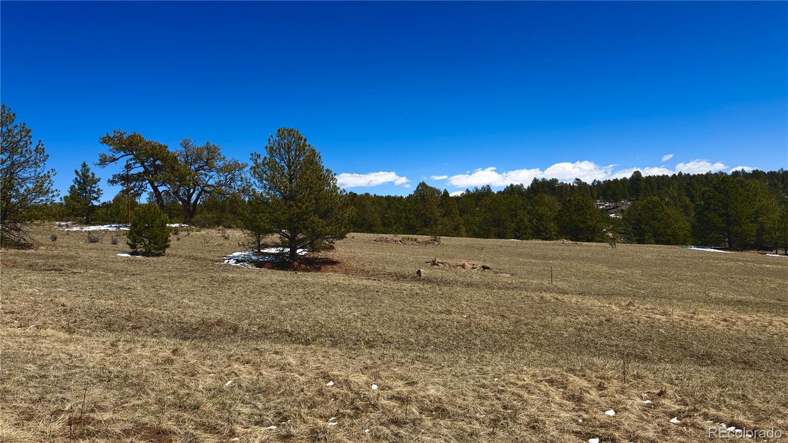 418 Scott Drive Florissant CO 80816