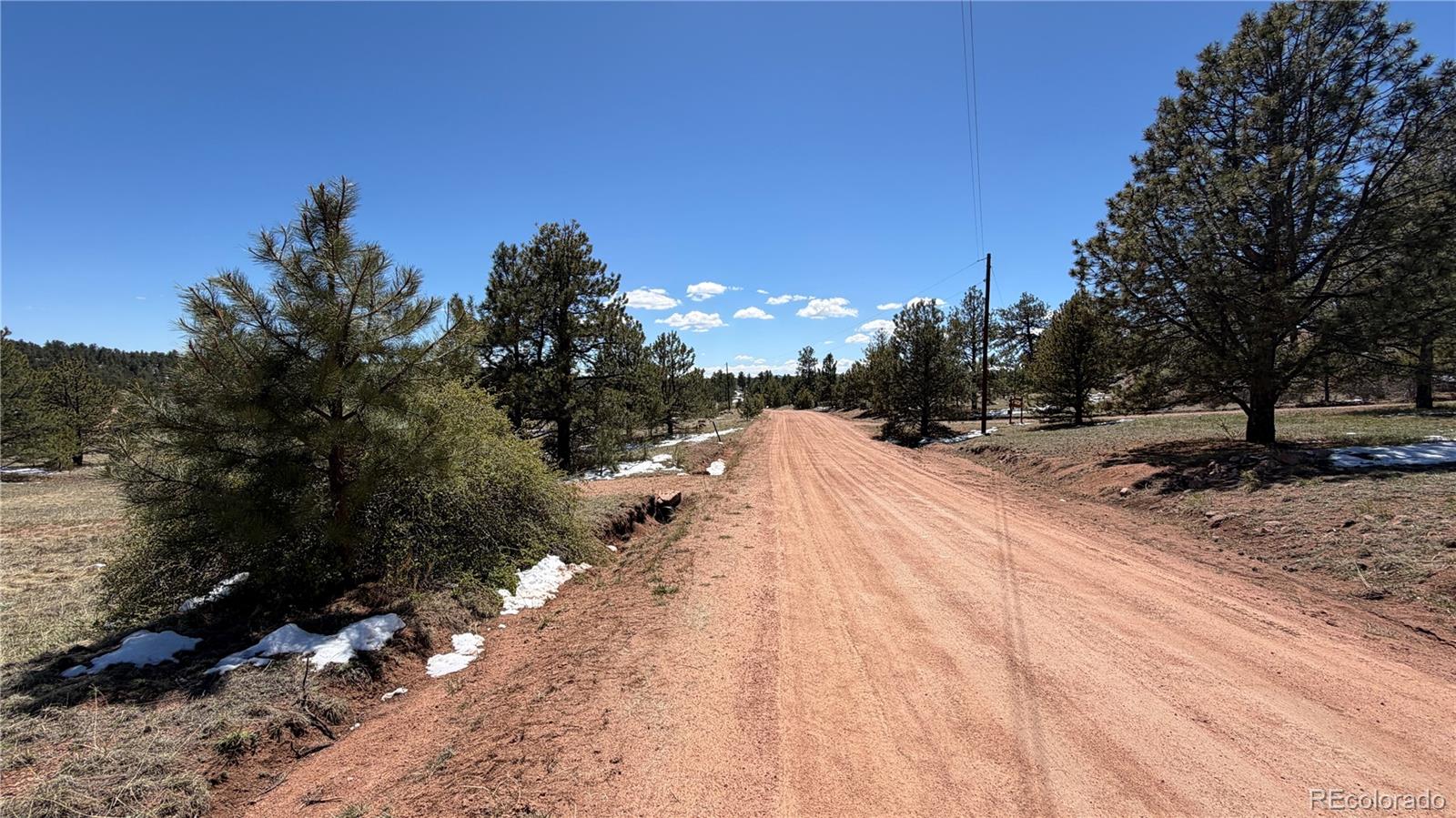 418 Scott Drive Florissant CO 80816