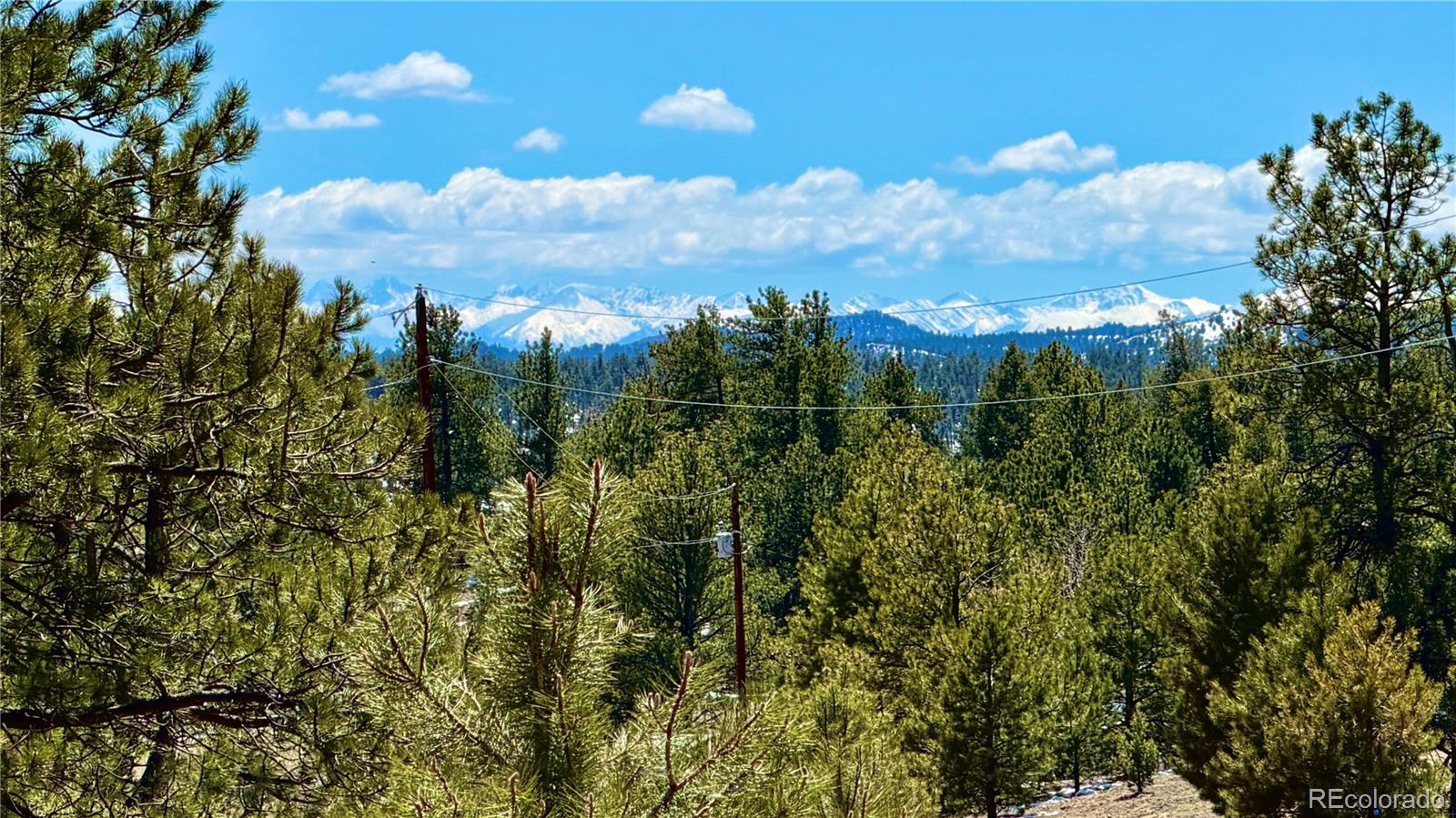 418 Scott Drive Florissant CO 80816