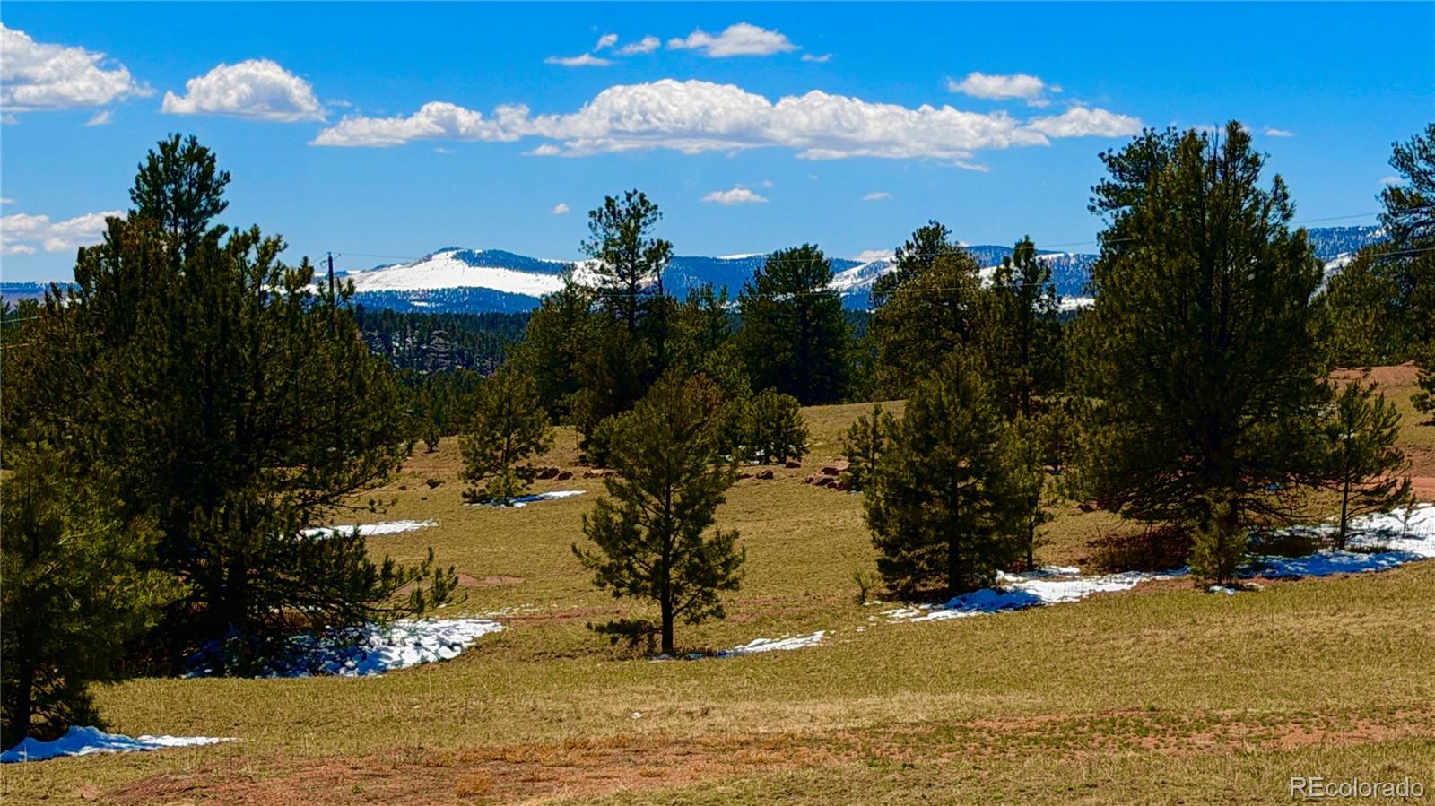 418 Scott Drive Florissant CO 80816