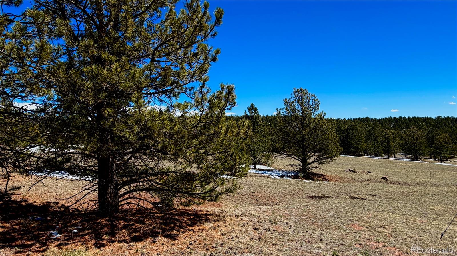 418 Scott Drive Florissant CO 80816