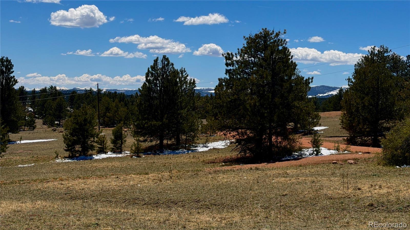 418 Scott Drive Florissant CO 80816