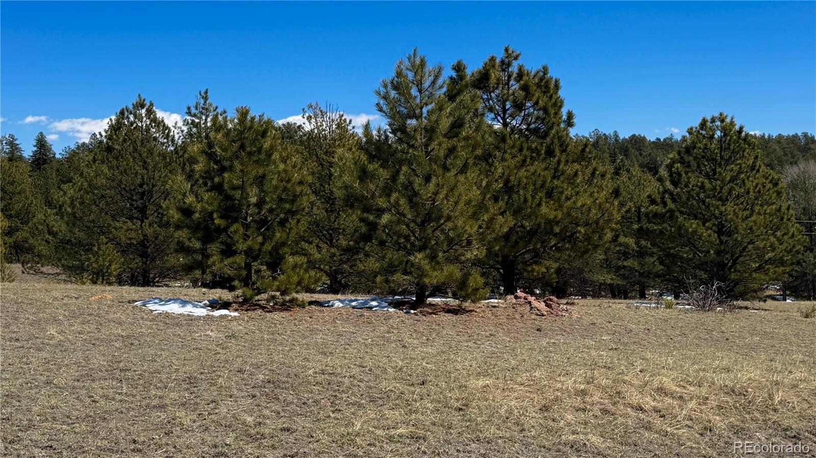 418 Scott Drive Florissant CO 80816