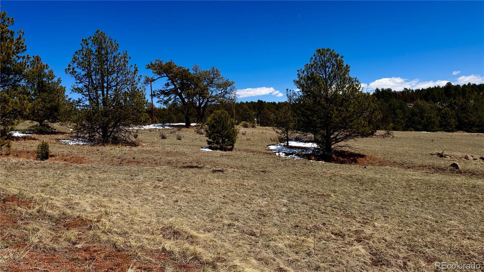 418 Scott Drive Florissant CO 80816