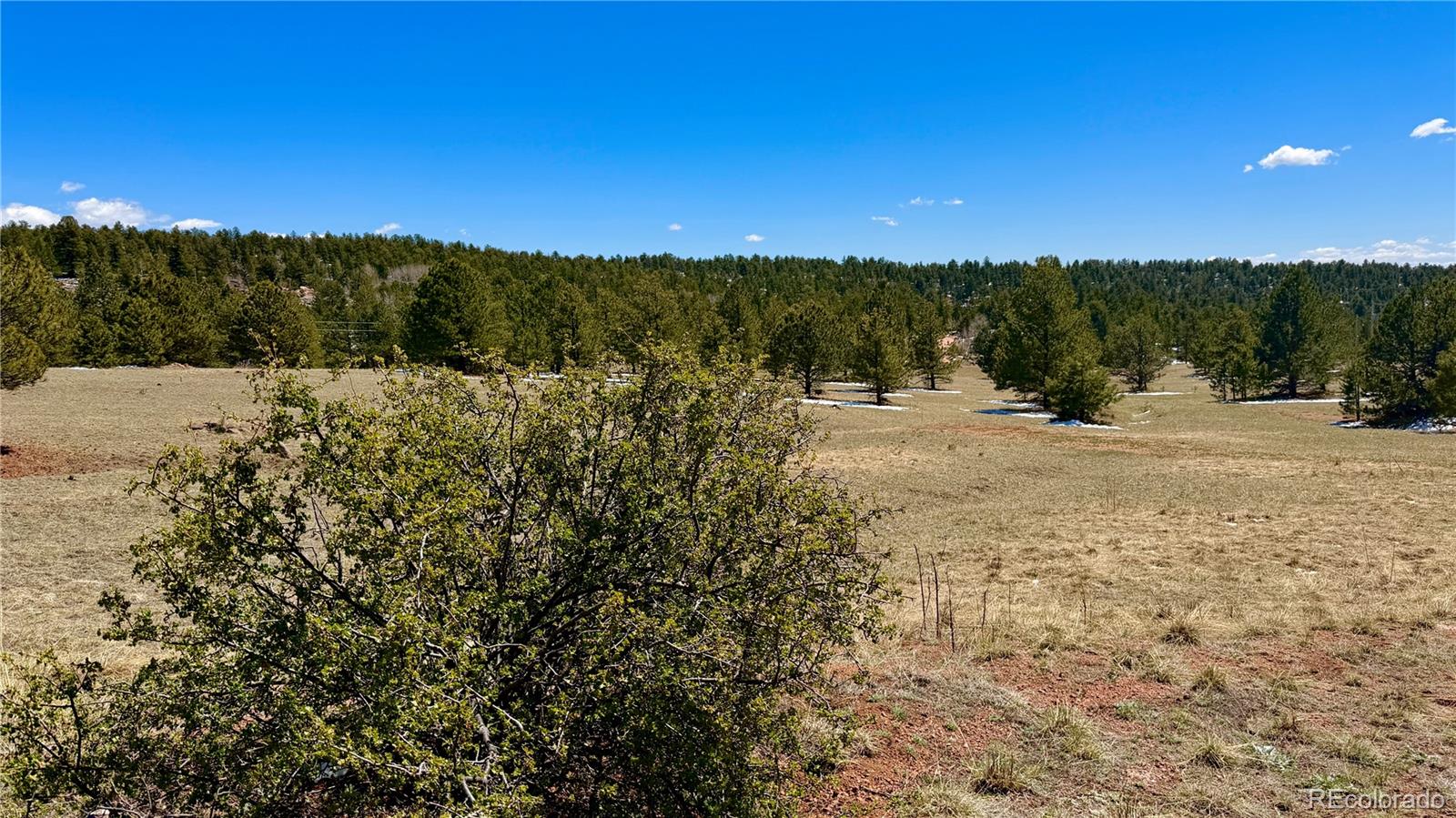 418 Scott Drive Florissant CO 80816