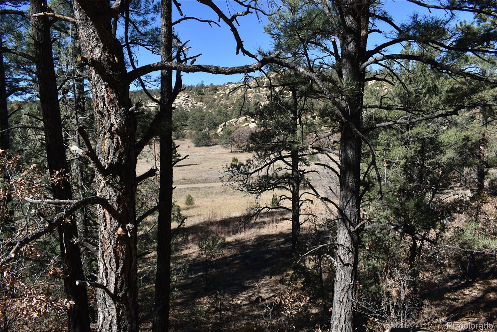 268-269 Rancho La Garita Filing No-8, Weston CO 81091