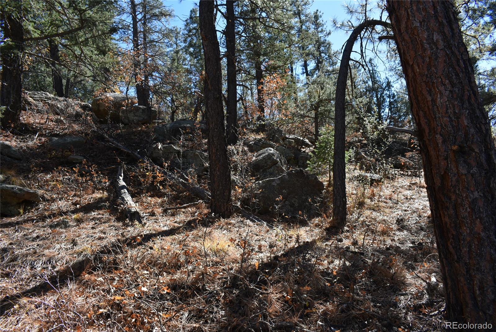268-269 Rancho La Garita Filing No-8, Weston CO 81091