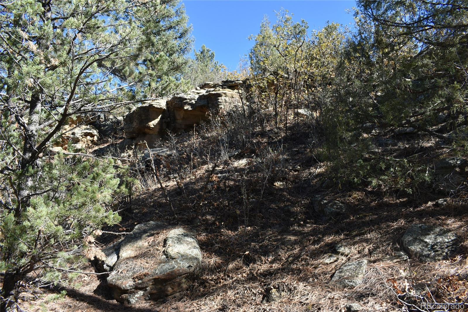 268-269 Rancho La Garita Filing No-8, Weston CO 81091