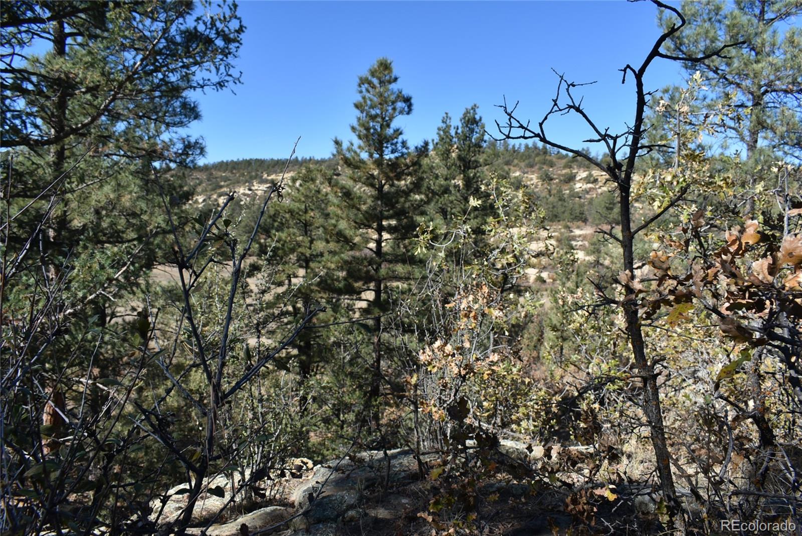 268-269 Rancho La Garita Filing No-8, Weston CO 81091