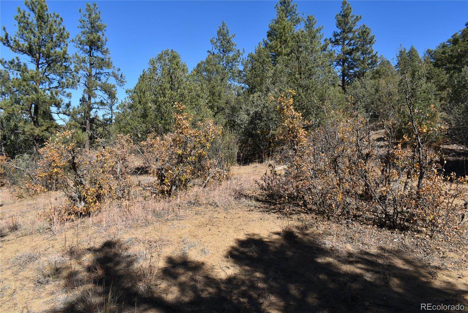 268-269 Rancho La Garita Filing No-8, Weston CO 81091