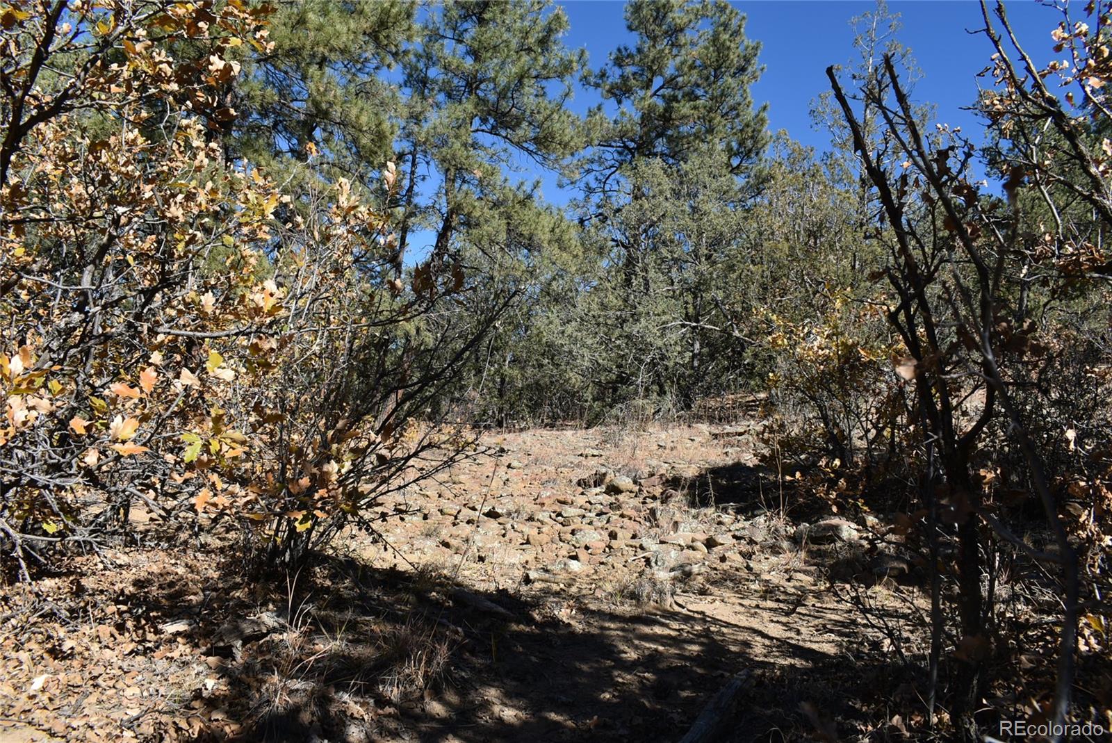 268-269 Rancho La Garita Filing No-8, Weston CO 81091