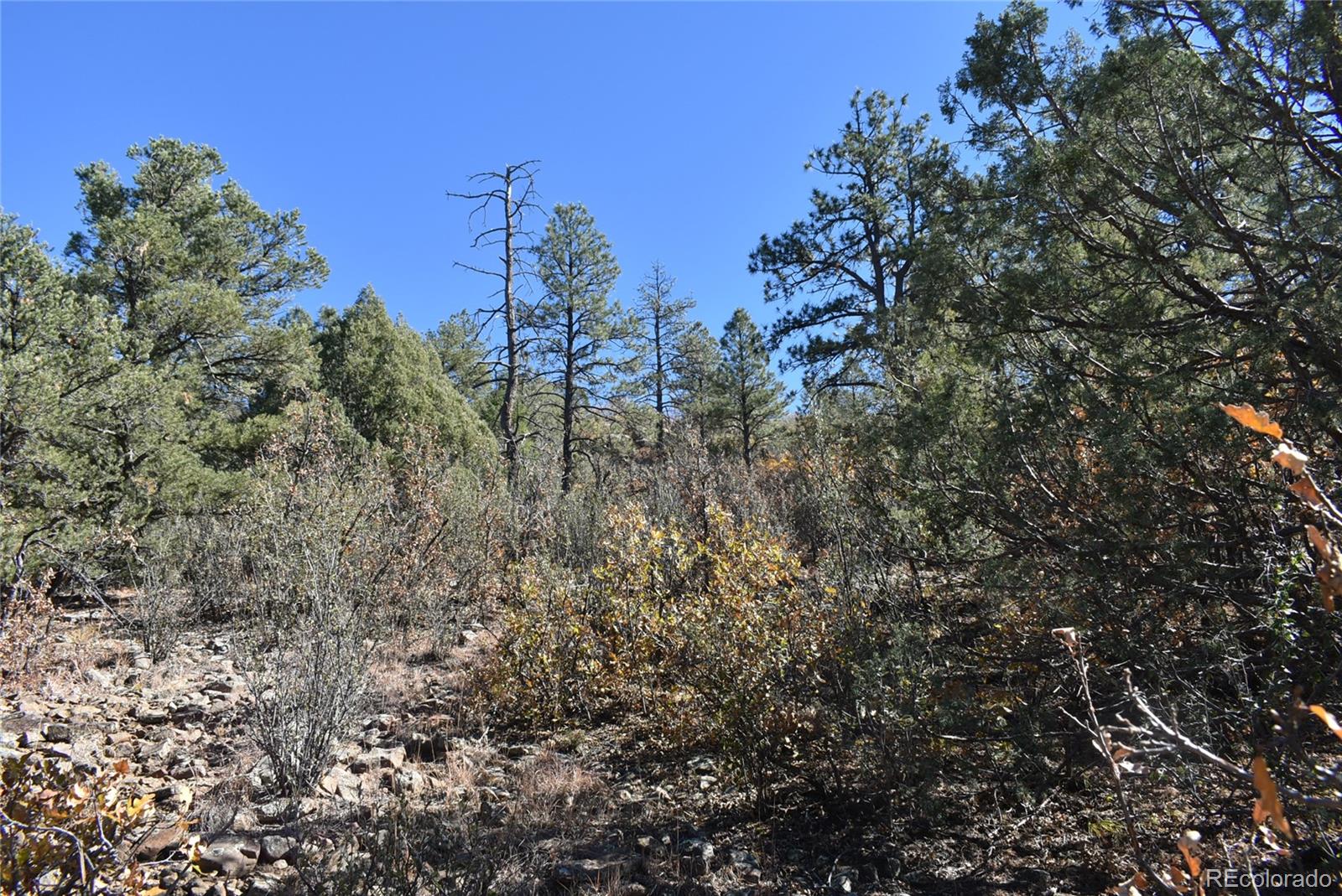 268-269 Rancho La Garita Filing No-8, Weston CO 81091