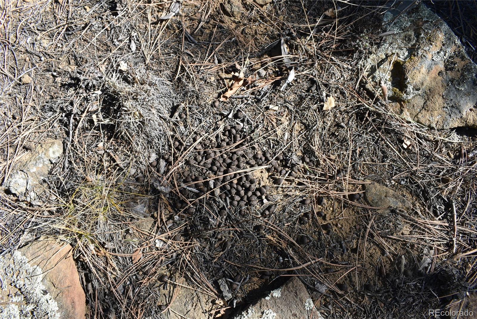 268-269 Rancho La Garita Filing No-8, Weston CO 81091