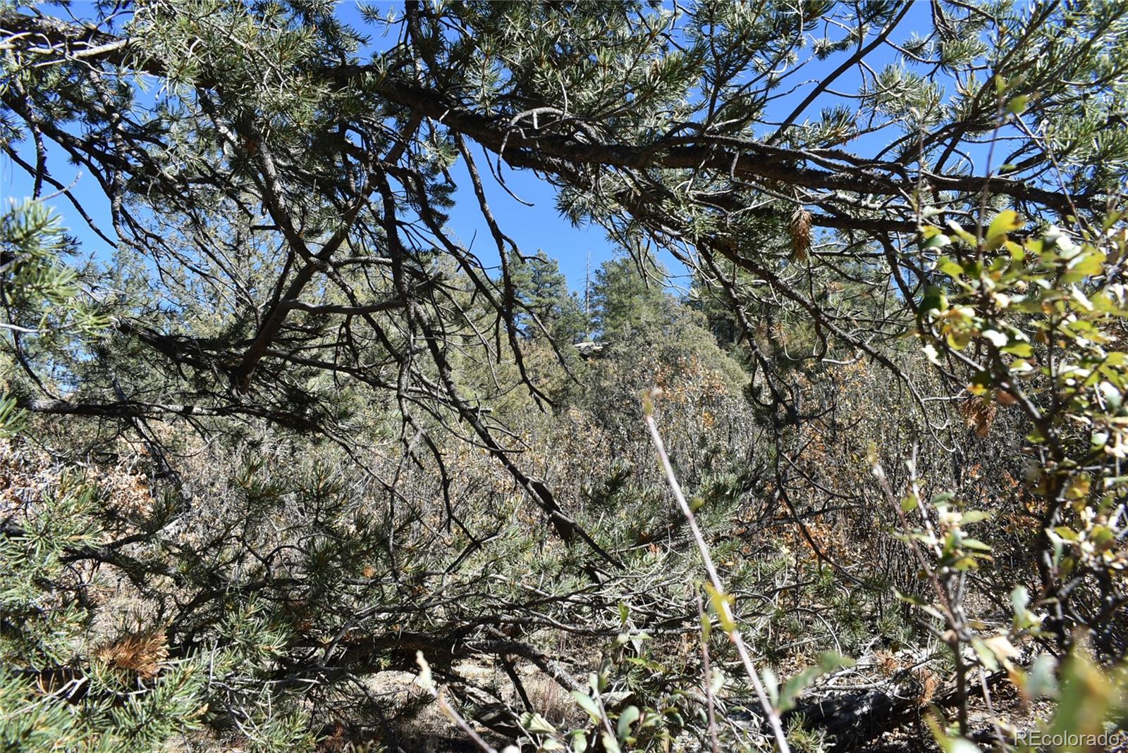 268-269 Rancho La Garita Filing No-8, Weston CO 81091