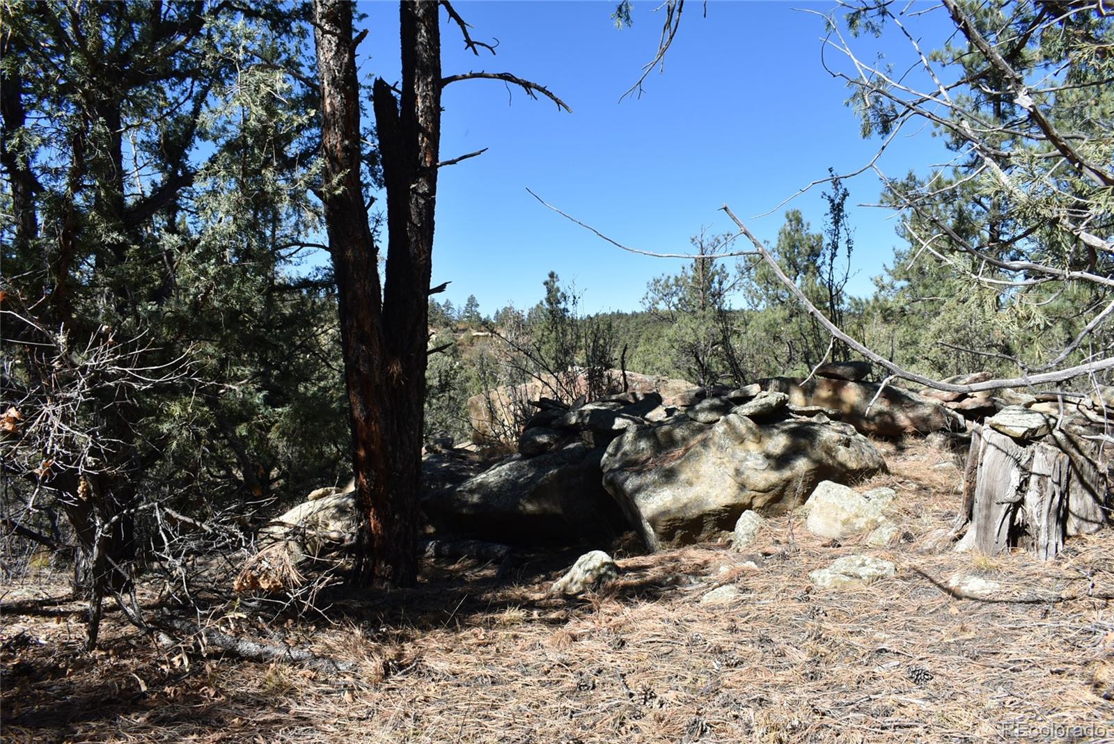 268-269 Rancho La Garita Filing No-8, Weston CO 81091