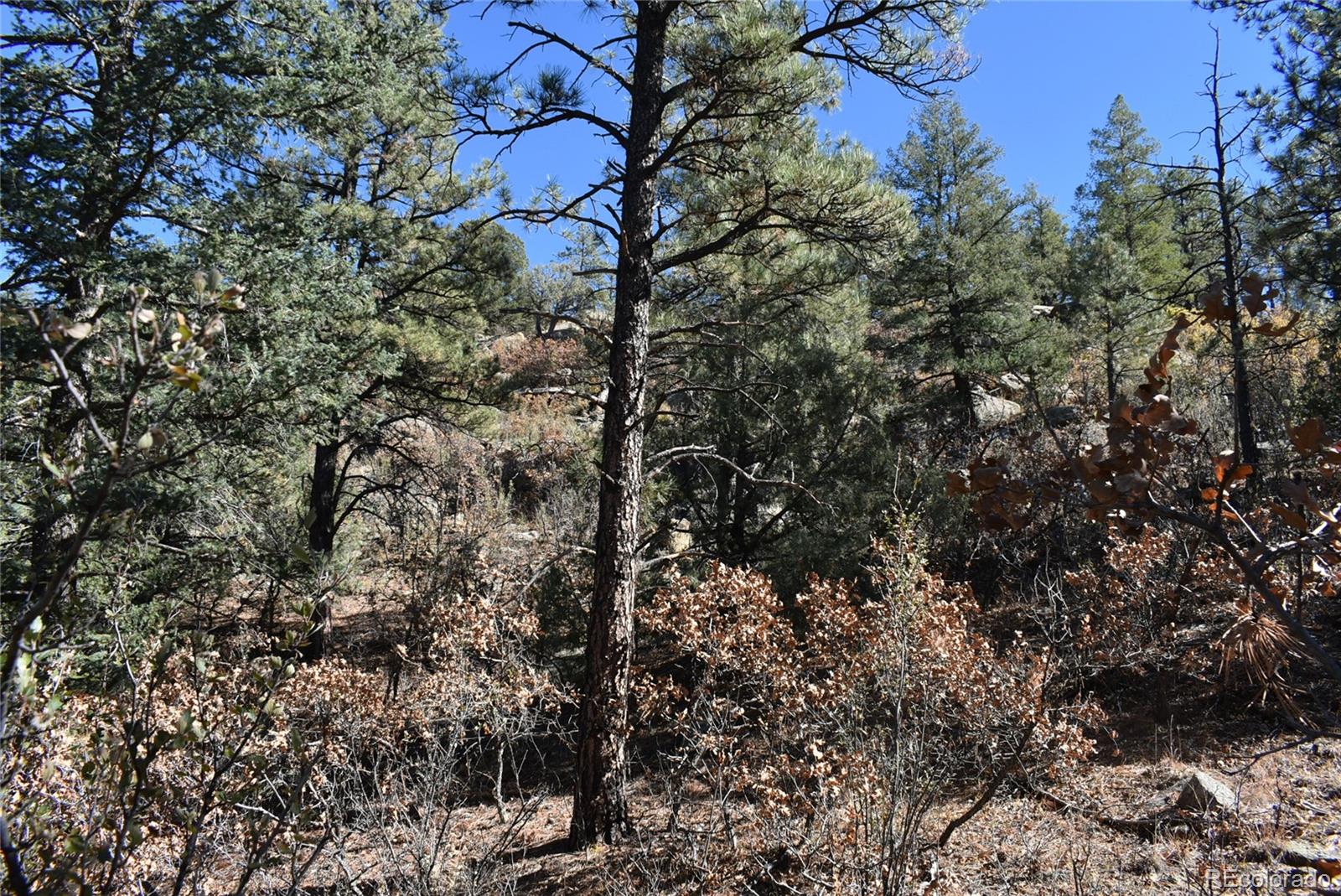268-269 Rancho La Garita Filing No-8, Weston CO 81091