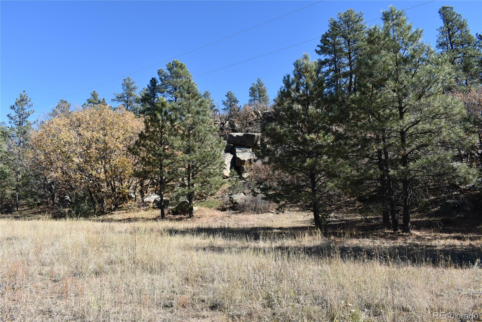 268-269 Rancho La Garita Filing No-8, Weston CO 81091