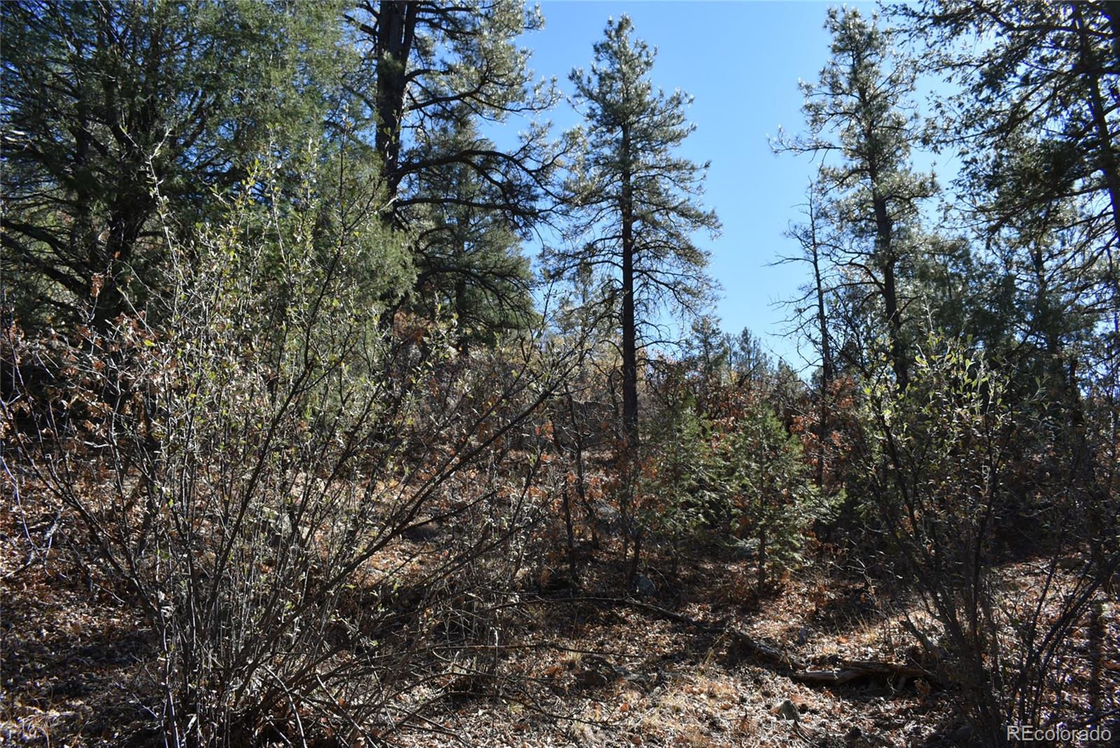 268-269 Rancho La Garita Filing No-8, Weston CO 81091