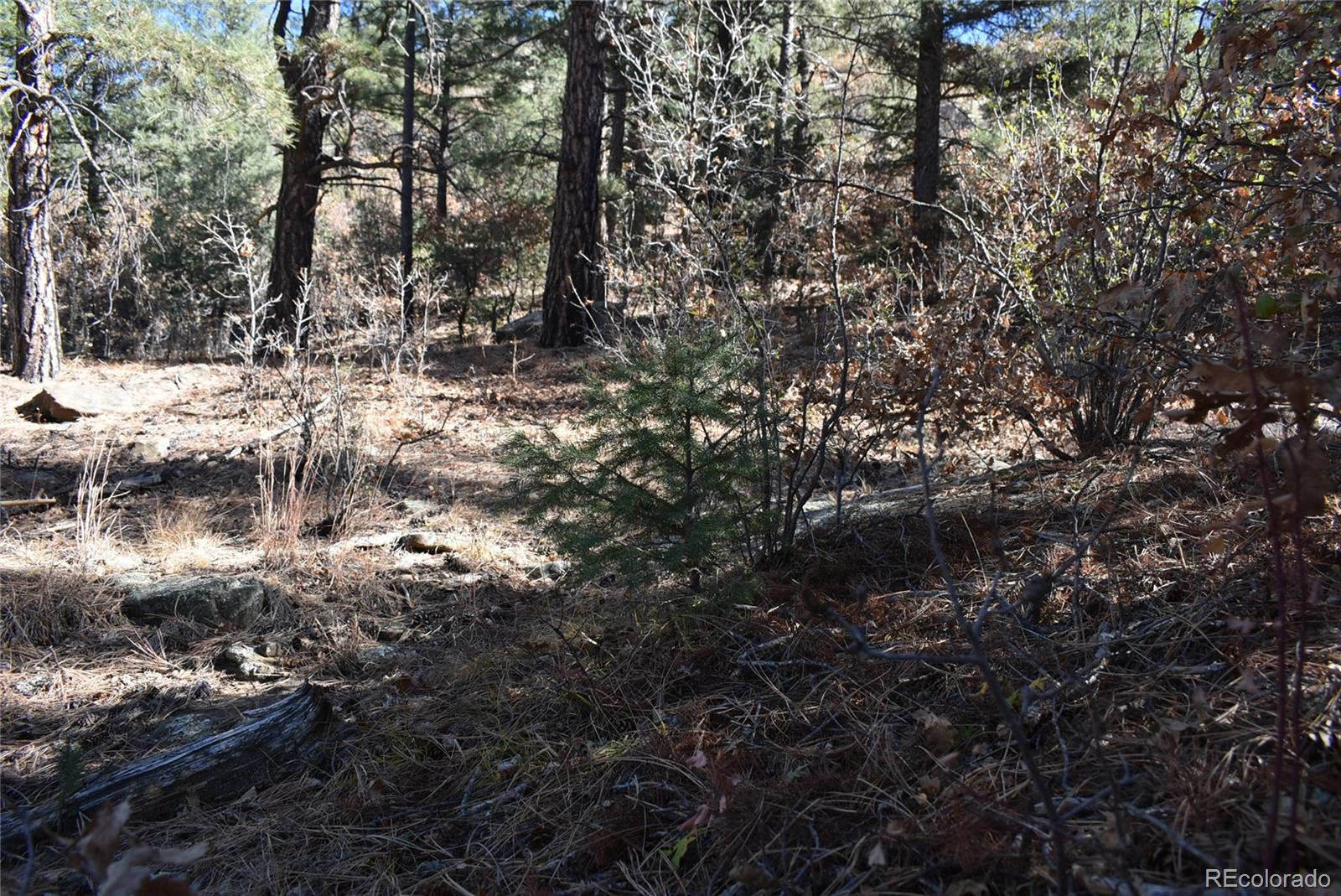 268-269 Rancho La Garita Filing No-8, Weston CO 81091
