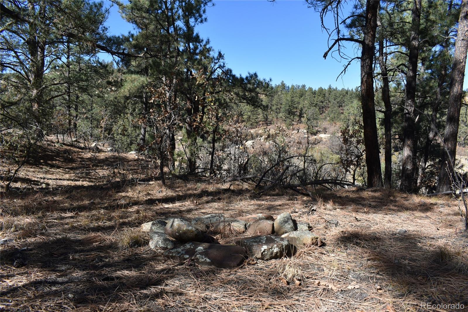 268-269 Rancho La Garita Filing No-8, Weston CO 81091