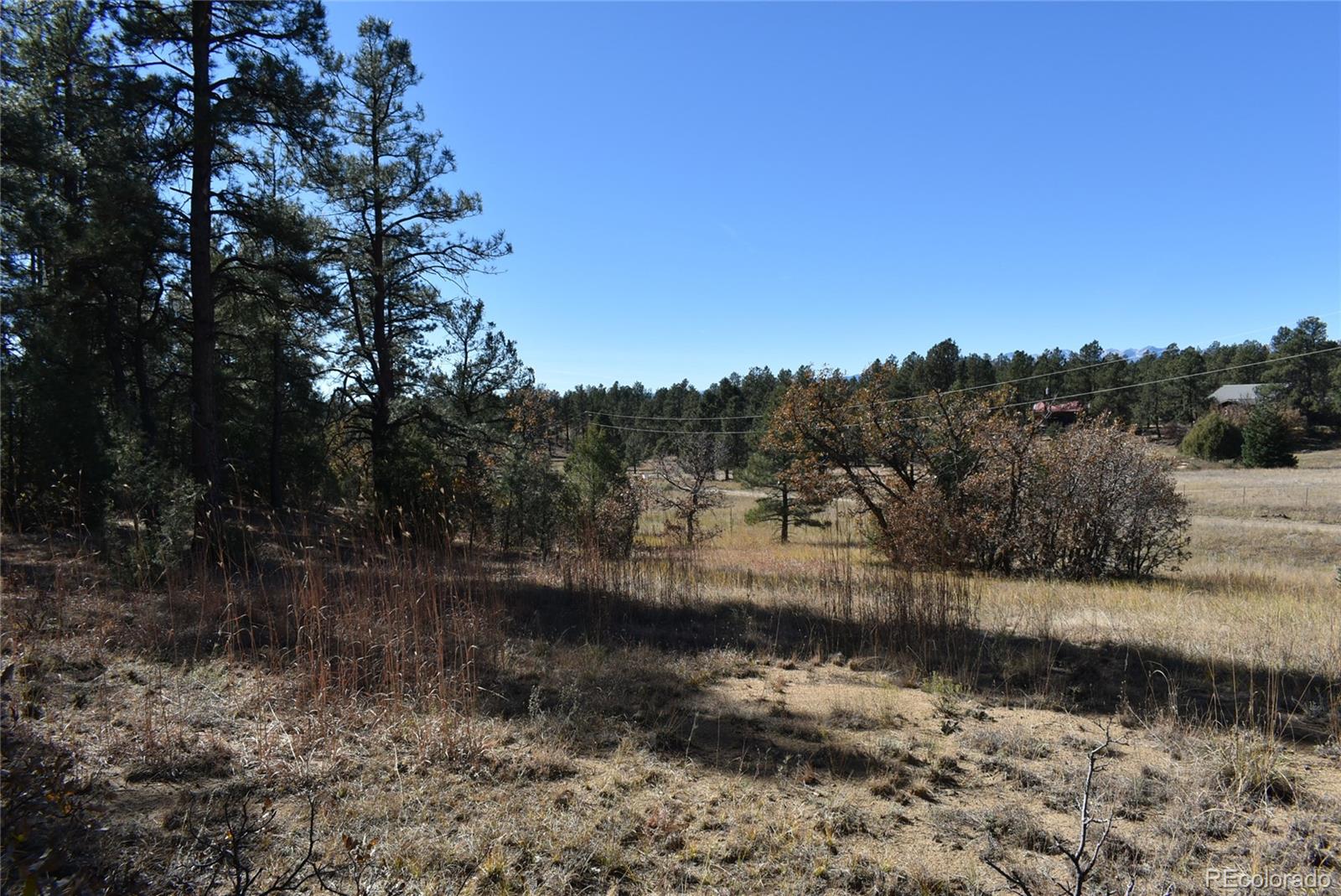 268-269 Rancho La Garita Filing No-8, Weston CO 81091