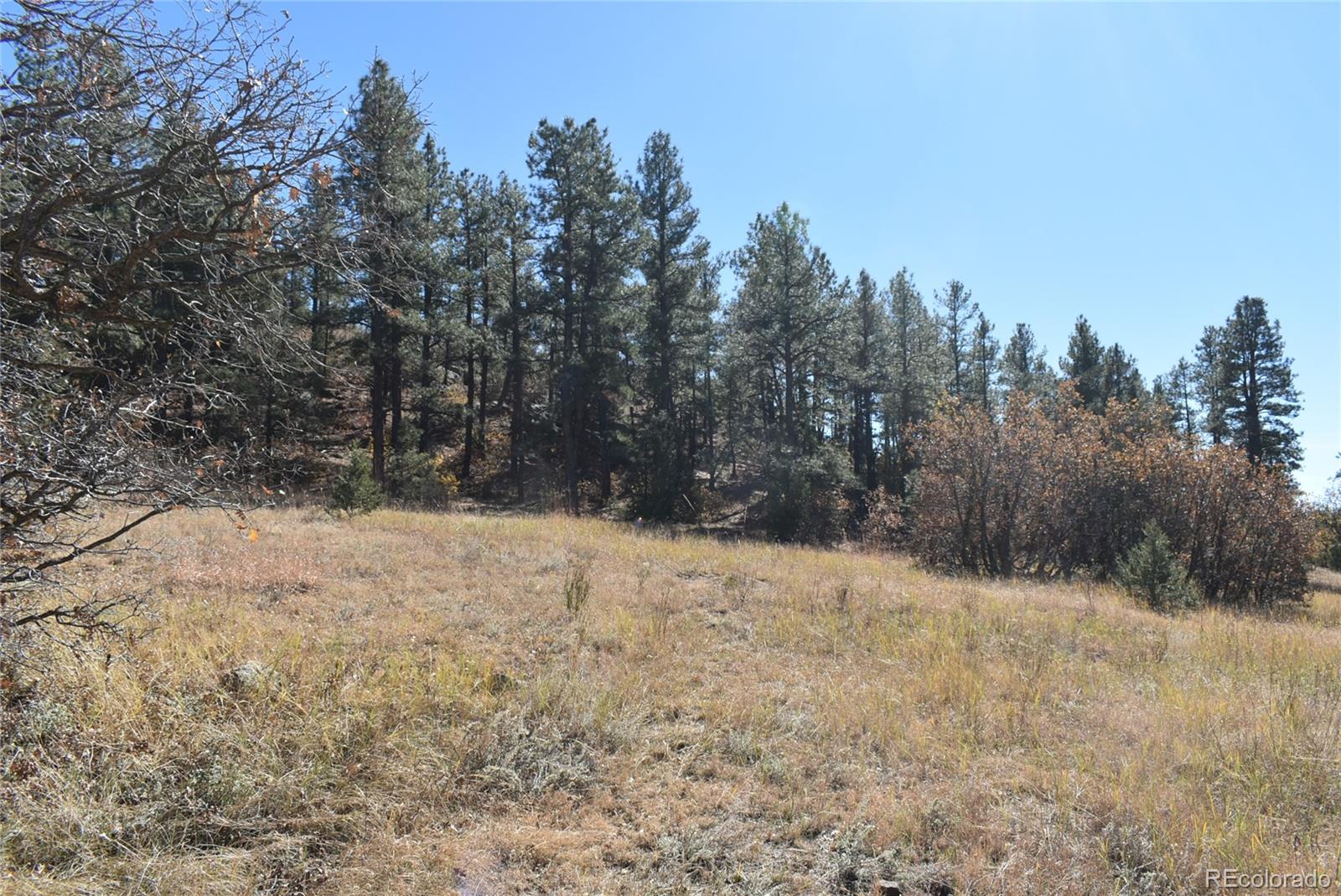 268-269 Rancho La Garita Filing No-8, Weston CO 81091
