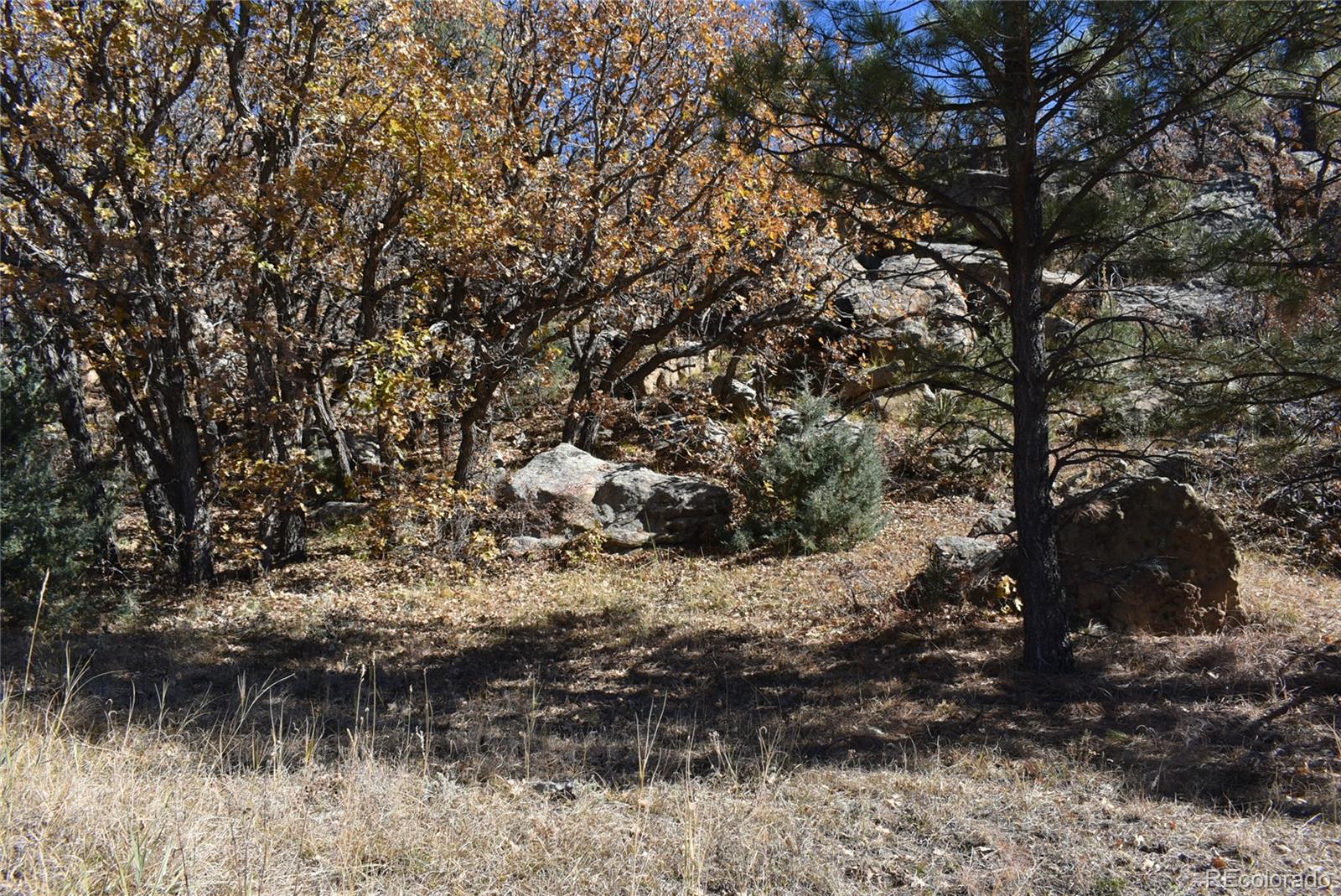 268-269 Rancho La Garita Filing No-8, Weston CO 81091