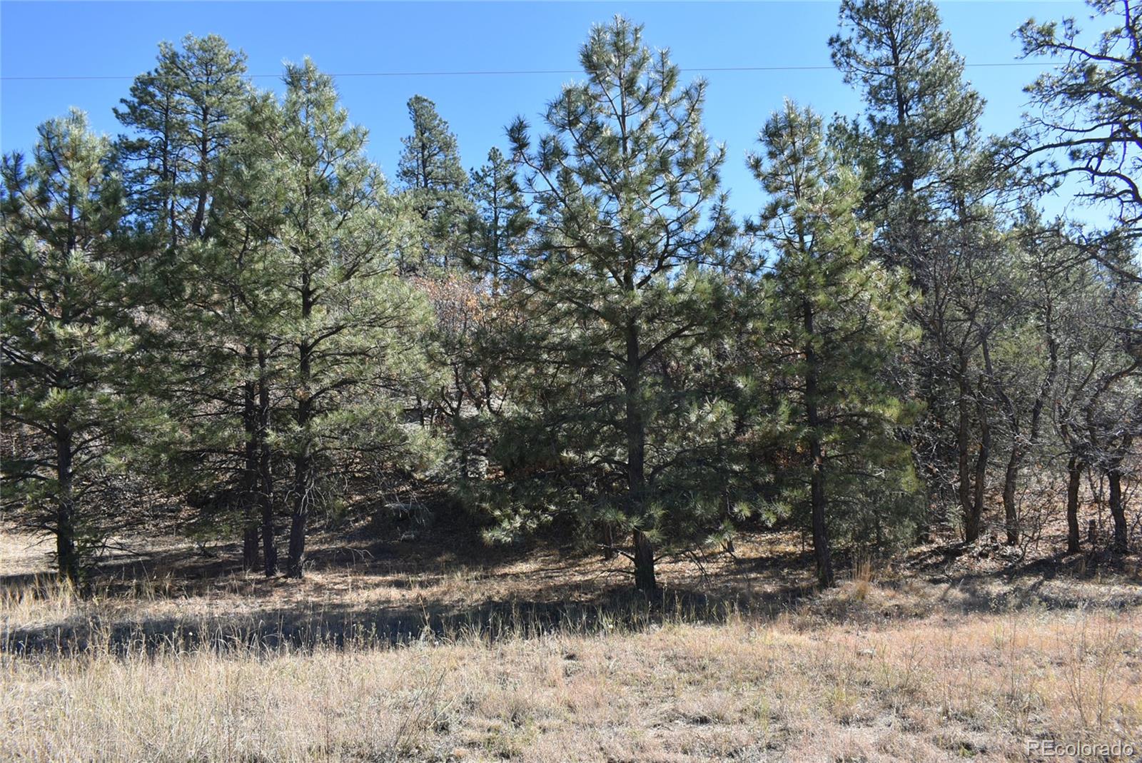 268-269 Rancho La Garita Filing No-8, Weston CO 81091