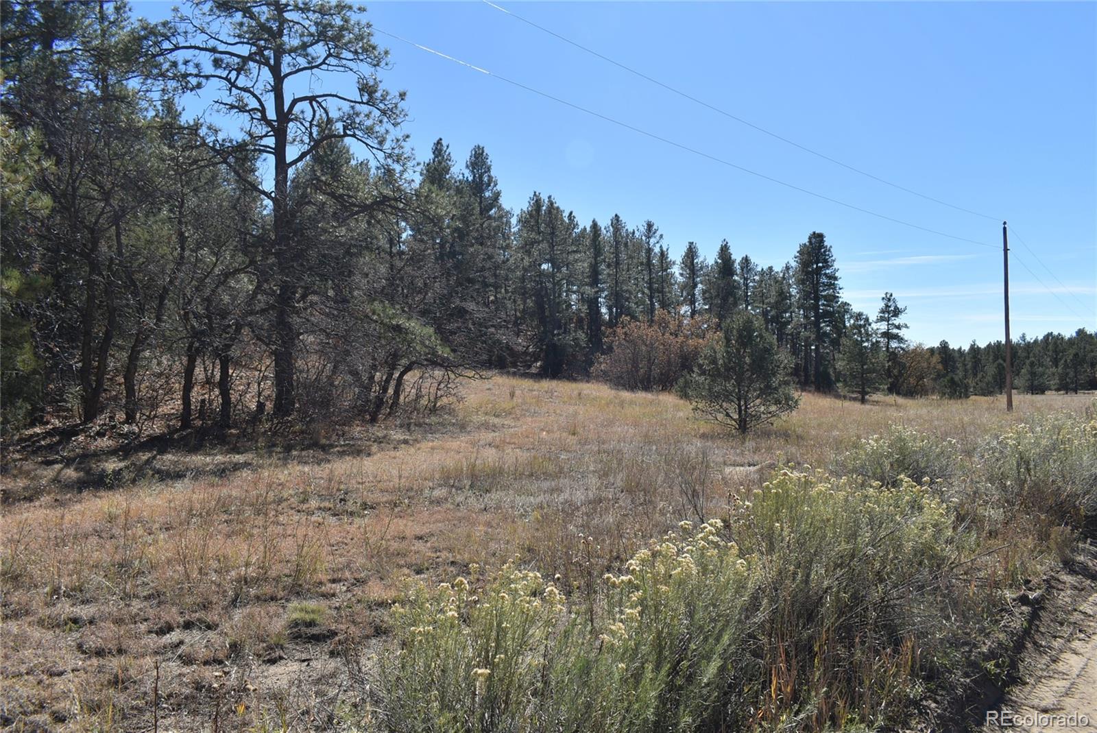 268-269 Rancho La Garita Filing No-8, Weston CO 81091