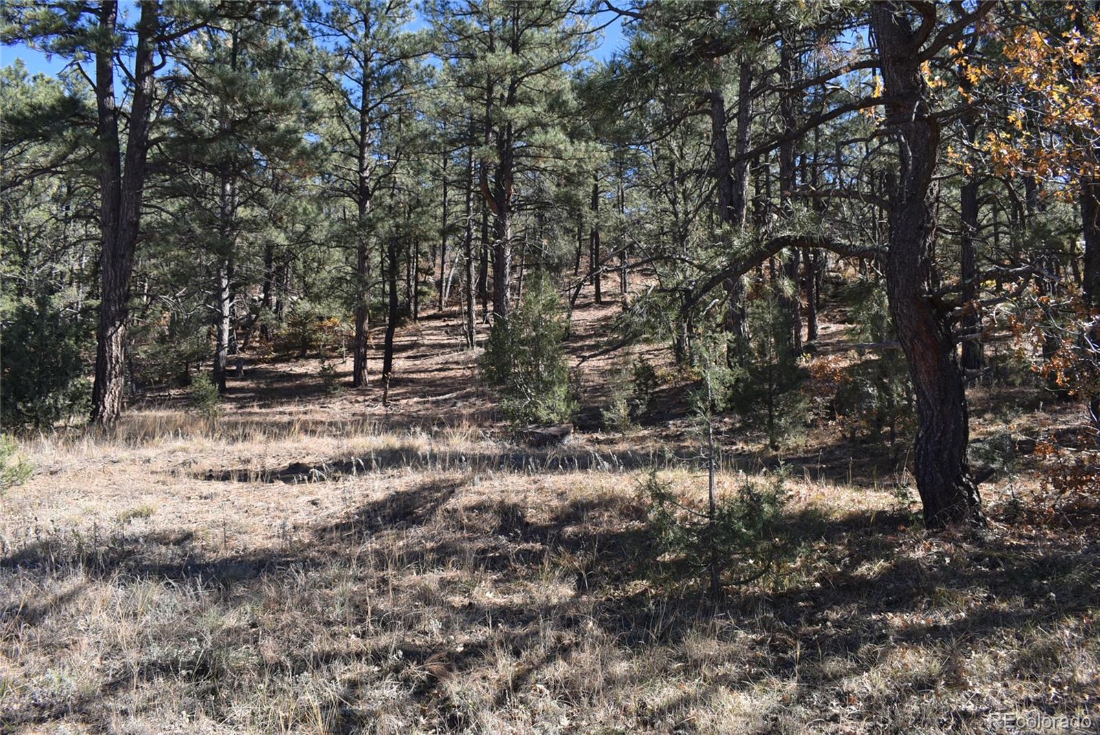268-269 Rancho La Garita Filing No-8, Weston CO 81091