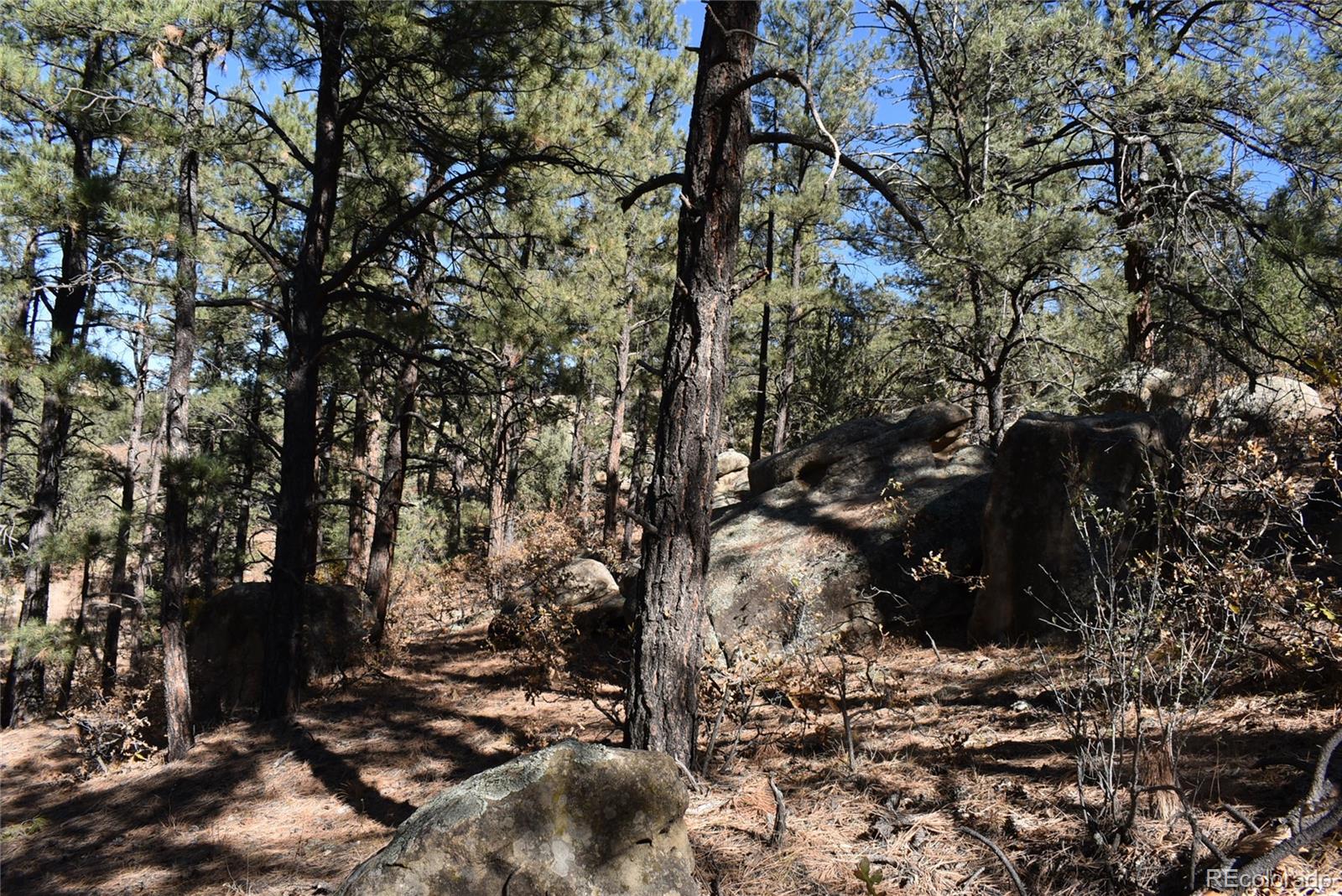 268-269 Rancho La Garita Filing No-8, Weston CO 81091