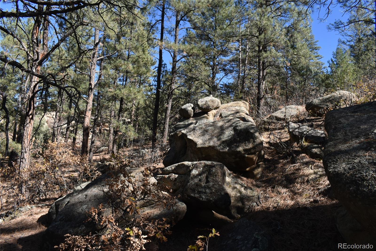 268-269 Rancho La Garita Filing No-8, Weston CO 81091