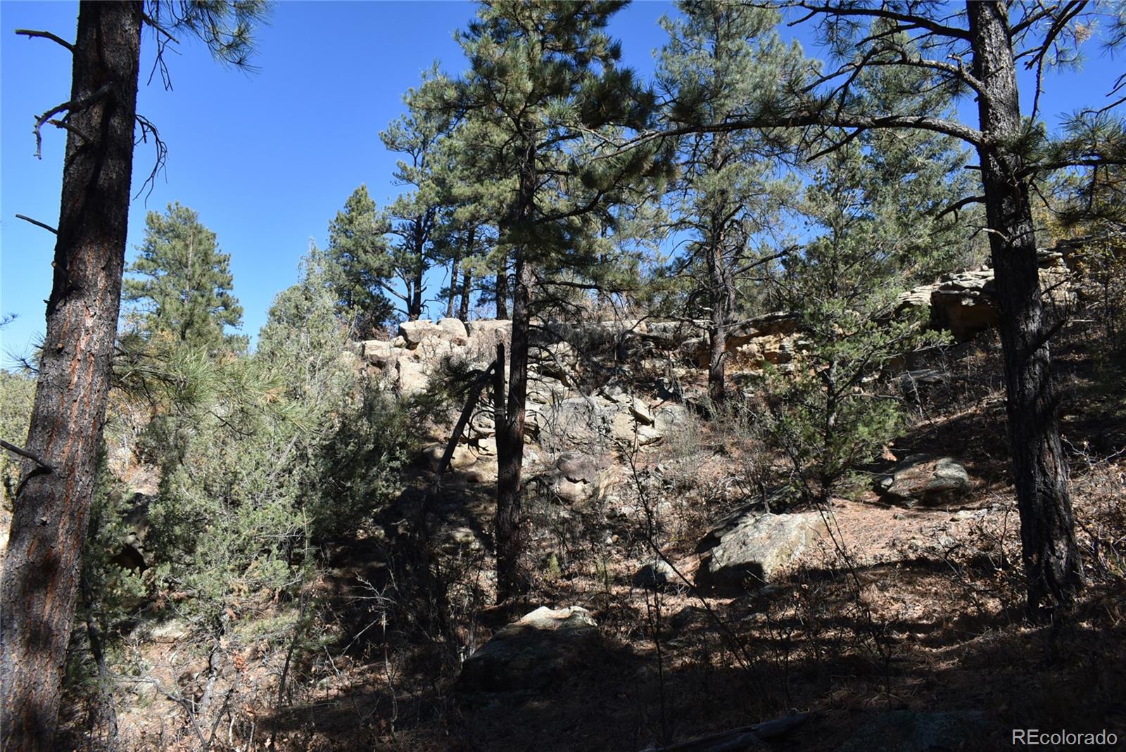 268-269 Rancho La Garita Filing No-8, Weston CO 81091