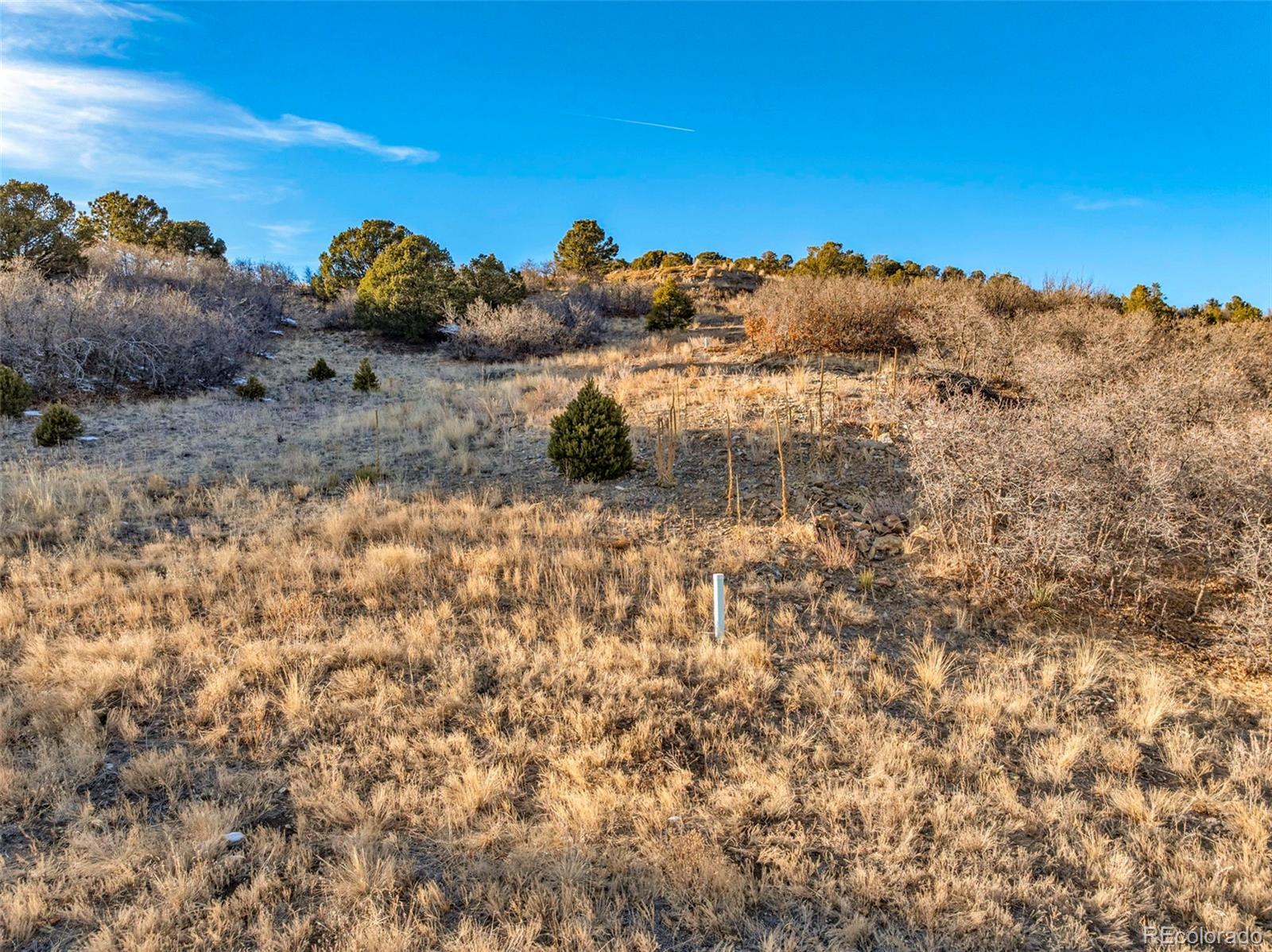 303 Peak View Place Canon City CO 81212