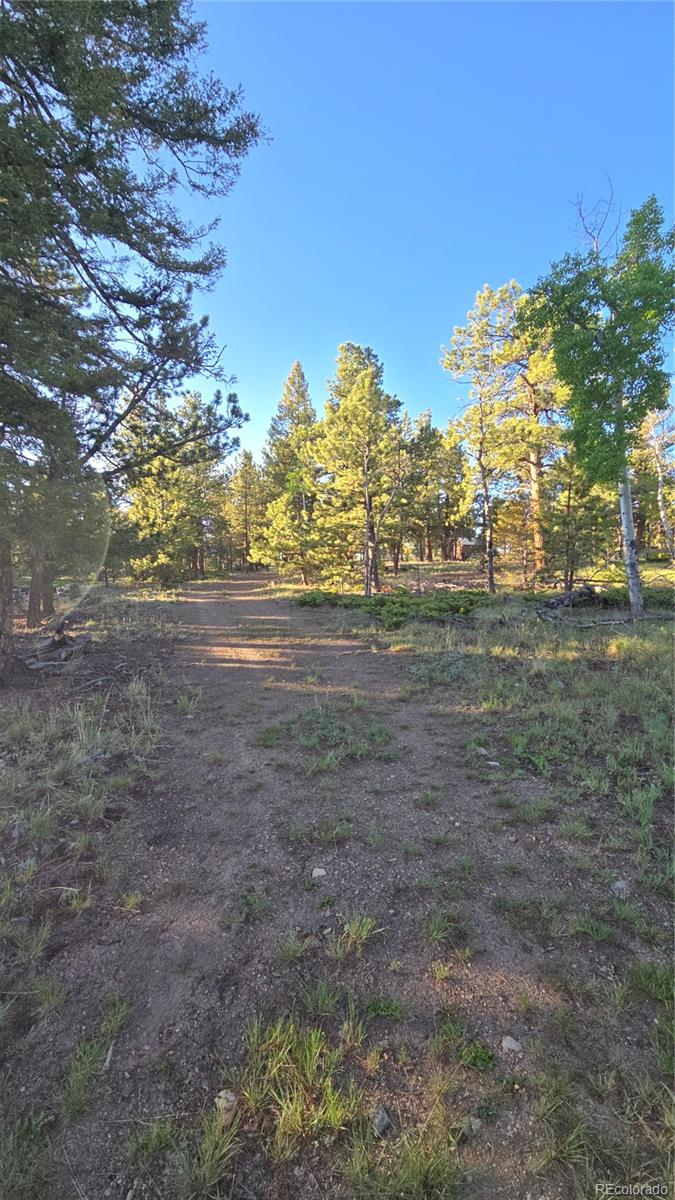 Chubb Court Buena Vista CO 81211