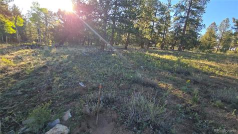 Chubb Court Buena Vista CO 81211