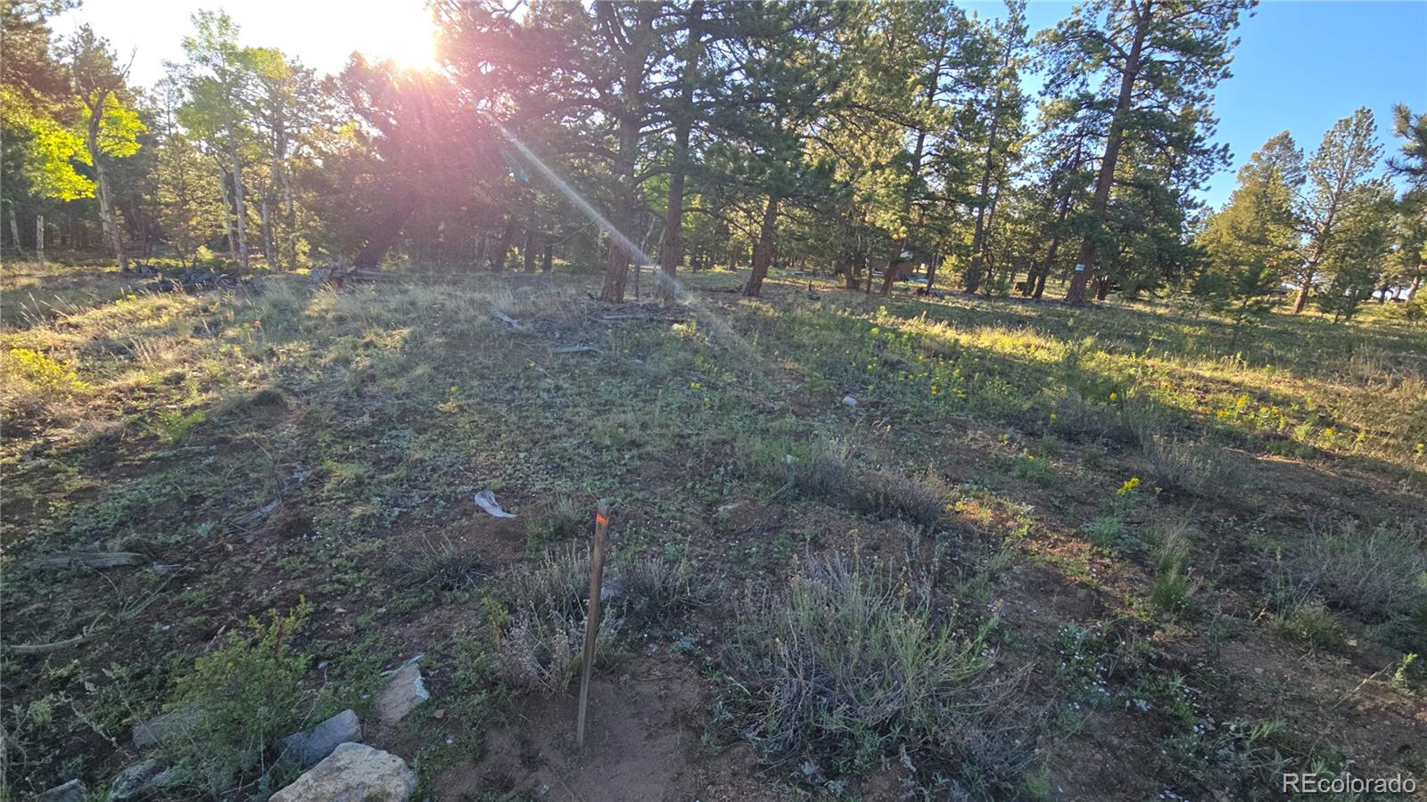 Chubb Court Buena Vista CO 81211