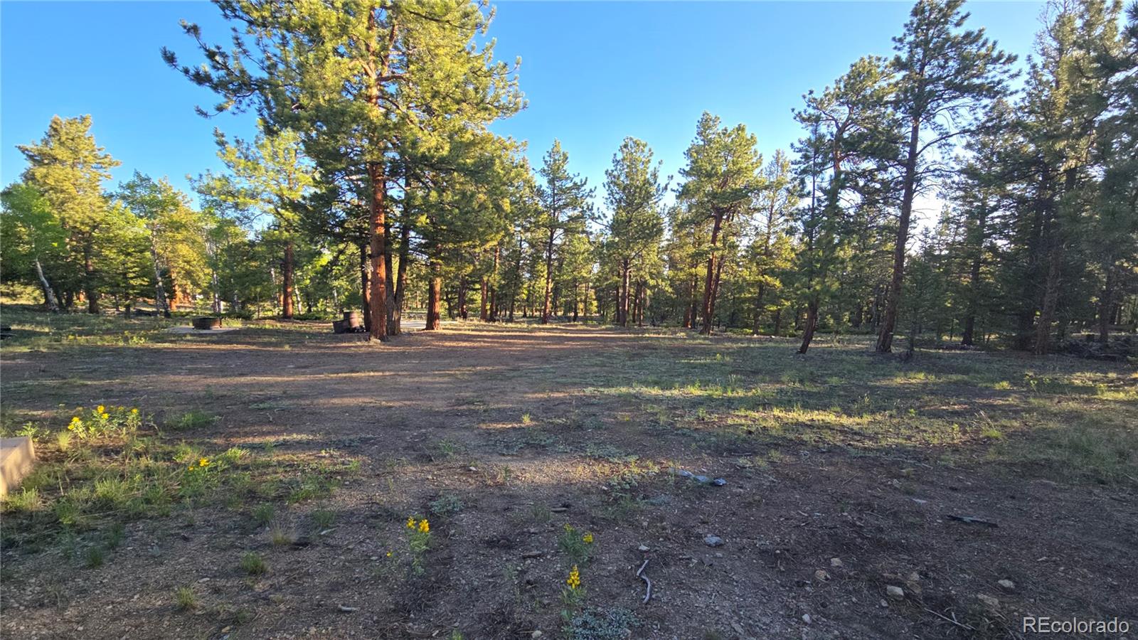 Chubb Court Buena Vista CO 81211